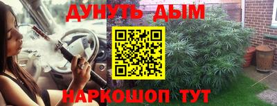 индика Кунгур