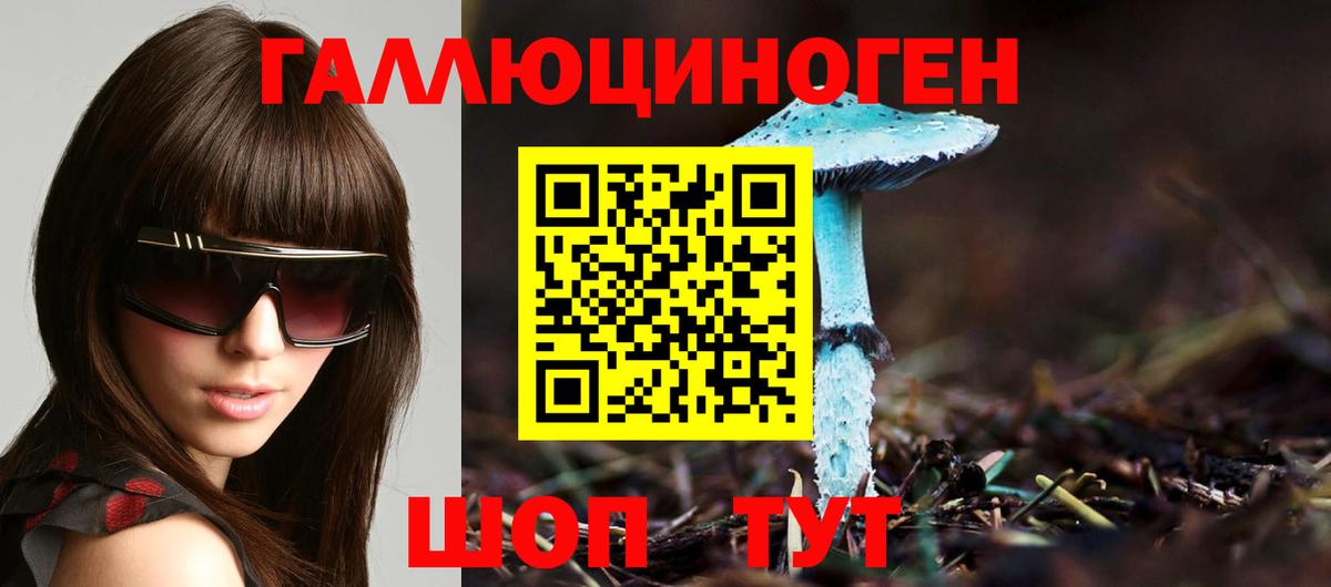 Заводоуковск  купить наркоту  Вход с VPN  Галлюциногенные грибы Psilocybine cubensis 